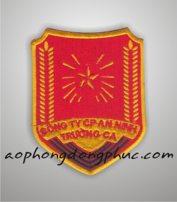 theu vi tinh logo cong ty bao an